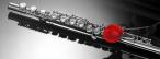 Titelbild Ein Musikinstrument mit Rose Titelbild Ein Musikinstrument mit Rose