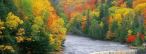 Titelbild Naturfoto bunte Bäume schöne farben Titelbild Naturfoto bunte Bäume schöne farben