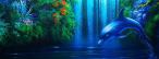 Titelbild Ein schöner Delphin Titelbild Ein schöner Delphin