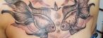 Titelbild Fische Tattoo Motive Titelbild Fische Tattoo Motive