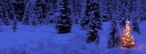 Titelbild Winter mit Leuchtender Weihnachtsbaum Titelbild Winter mit Leuchtender Weihnachtsbaum