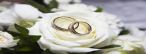 Titelbild Weisse Rose & Ehering Titelbild Weisse Rose & Ehering